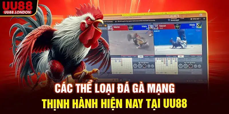 Các thể loại đá gà mạng thịnh hành hiện nay tại UU88