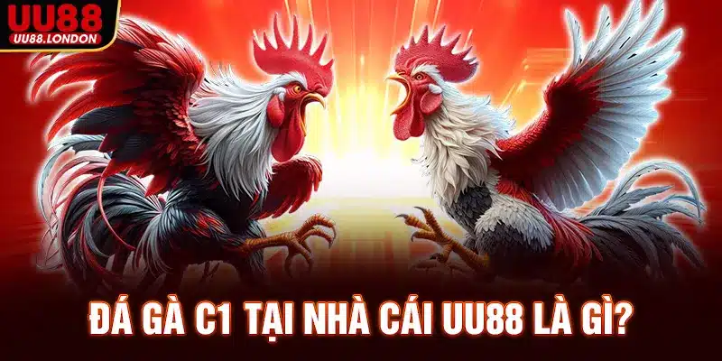 da-ga-c1-tai-nha-cai-uu88-la-gi_11zon