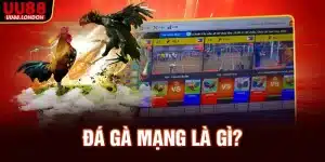 da-ga-mang-la-gi_11zon