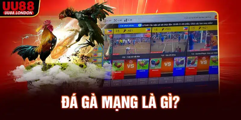 da-ga-mang-la-gi_11zon