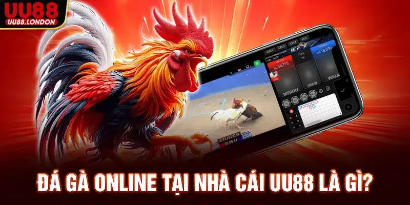 Đá gà online tại nhà cái UU88 là gì?