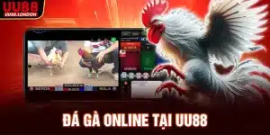 da-ga-online-tai-uu88_11zon