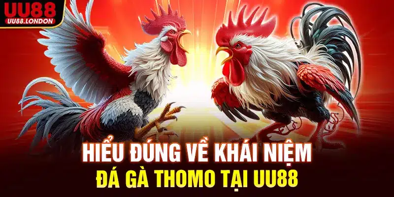 Hiểu đúng về khái niệm đá gà Thomo tại UU88