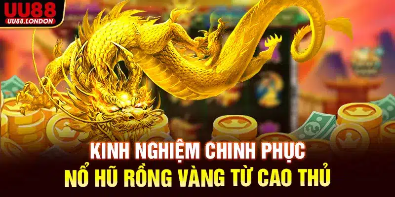 Kinh nghiệm chinh phục nổ hũ Rồng Vàng từ cao thủ