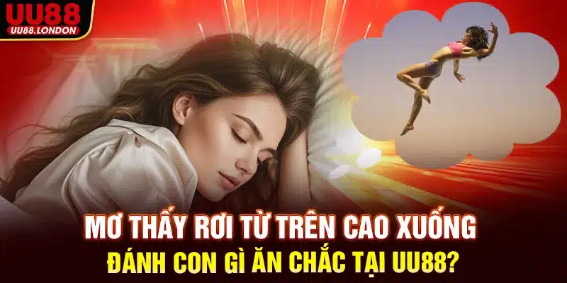 Mơ thấy rơi từ trên cao xuống đánh con gì ăn chắc tại UU88?