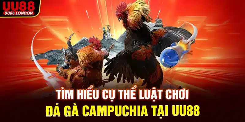 Tìm hiểu cụ thể luật chơi đá gà Campuchia tại UU88