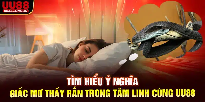 Tìm hiểu ý nghĩa giấc mơ thấy rắn trong tâm linh cùng UU88