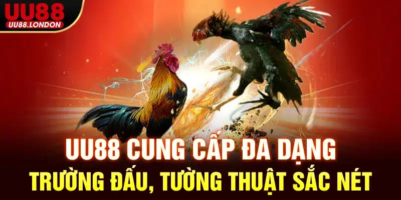 UU88 cung cấp đa dạng trường đấu, tường thuật sắc nét