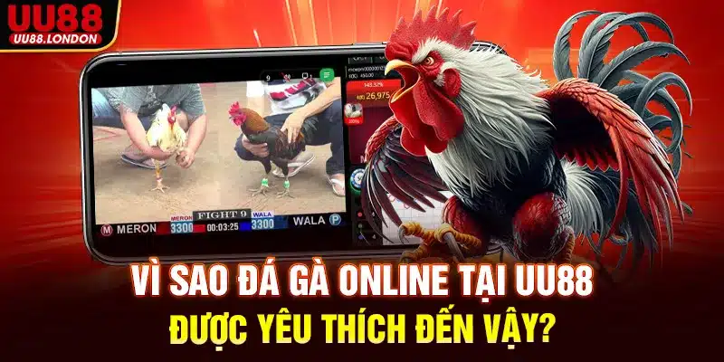 Vì sao đá gà online tại UU88 được yêu thích đến vậy?